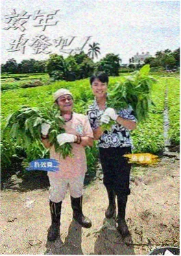 波波电影网综艺 慢火煮食记 剧照